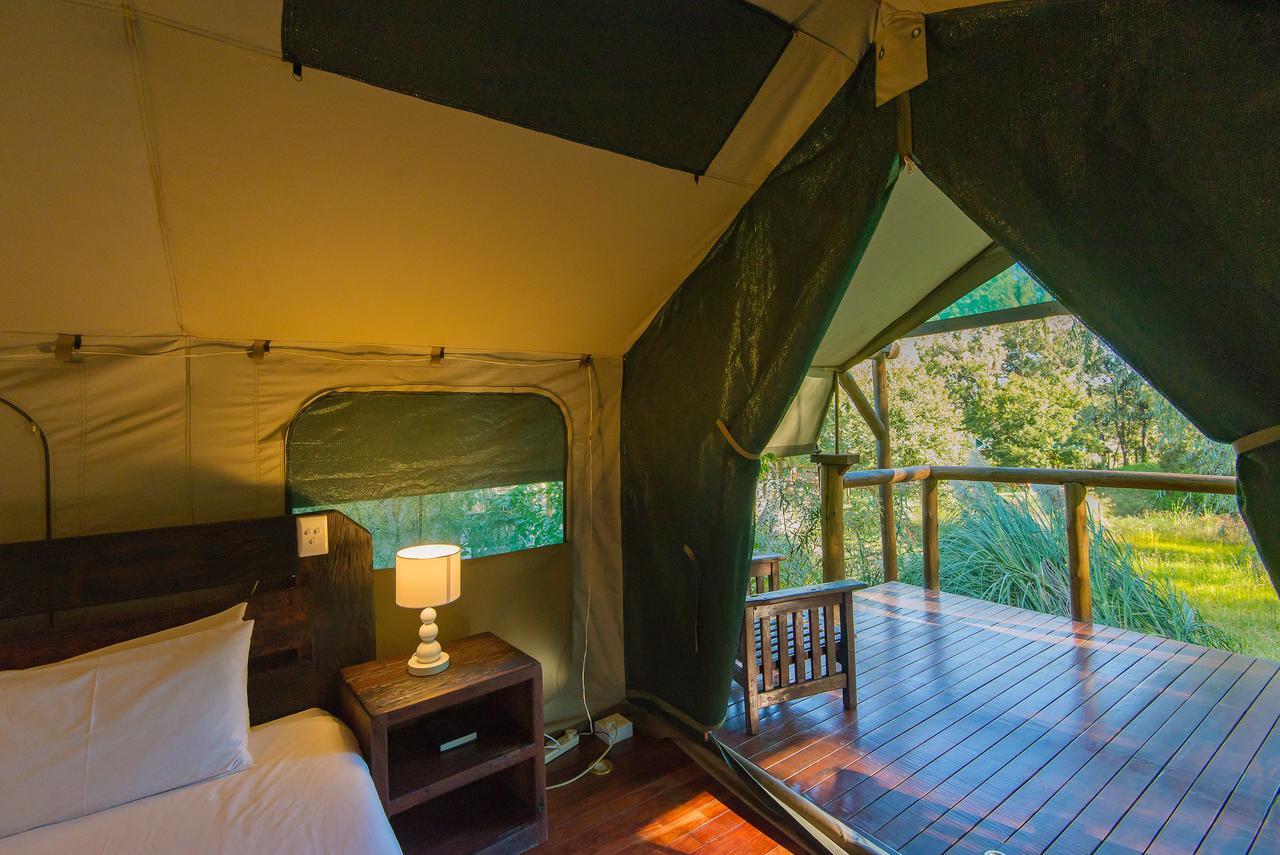 Amadwala Lodge ロードポート 部屋 写真